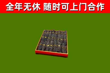 高州烟酒回收海参.jpg